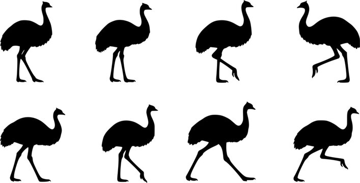 Emu silhouettes, Emu bird silhouette, Emu bird , Emu , Simple emu silhouette, Emu vector illustration