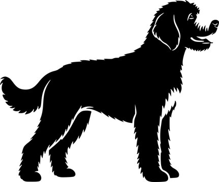Labradoodle silhouette, Labradoodle dog silhouette, Labradoodle clipart, Labradoodle icon, Dog silhouette