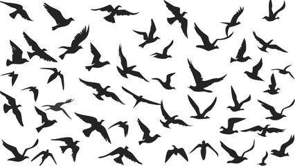 Dynamic flock of birds soaring freely across the sky, symbolizing freedom and migration