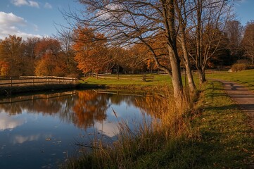 Obraz premium Rural pond surrounded by fall foliage