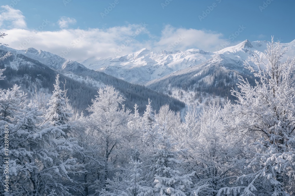 Poster snow-covered mountain scenery in winter with frosty trees and empty space for your design