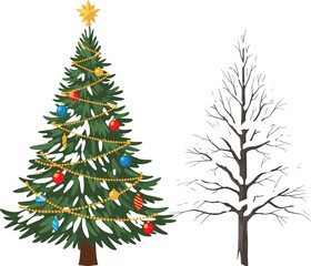 Christmas Tree and Bare Winter Tree Vector Illustration for Holiday Design, Seasonal Concept, Botanical Study, Nature Comparison, and Educational Artwork