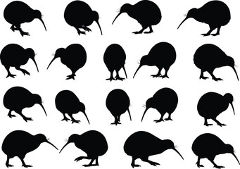 Kiwi bird silhouettes collection, New Zealand wildlife illustration, flightless bird artwork, animal design elements, nature vector graphic, exotic species, educational resource