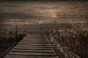 Aged Wooden Pier and Boardwalk Texture