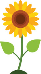 Vibrant Yellow Sunflower with Green Leaves Illustration on white background