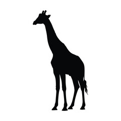 A striking black giraffe shape against white a beautiful silhouette