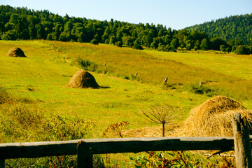 rural landscape with hay bales