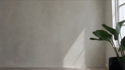 Serene Minimalist Interior: Sunlight Dapples Textured Wall Bird of Paradise Shadow.