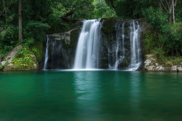 Fototapeta premium Lush forest scenery featuring cascading waterfalls and vibrant greenery