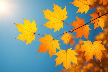 Obraz premium Vivid orange and yellow maple leaves illuminated by sunlight with a blue sky backdrop