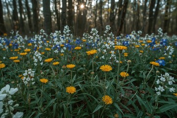 Fototapeta premium Blue and yellow blossoms among woodland trees