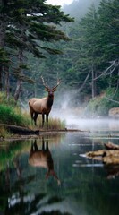 Misty forest lake at sunrise with majestic wild deer standing near the water, serene nature landscape scene perfect for wilderness, travel, and wildlife themes