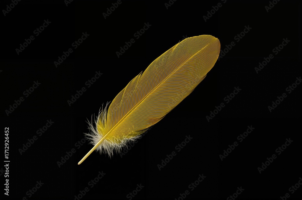 Poster bright yellow feather set against a dark backdrop, showcasing abstract patterns and textures
