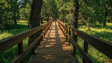 Fototapeta premium Scenic wooden pathway surrounded by lush greenery in summertime