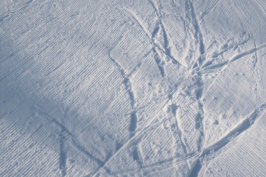 Abstract snowy off-trail skiing scene featuring ski and snowboard tracks on fresh untouched powder, captured during sunrise or sunset at a mountain resort