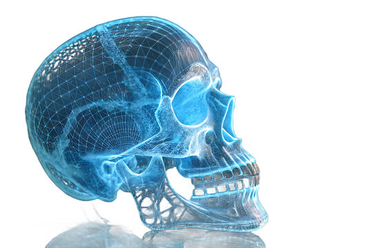 Glowing Blue 3D Wireframe Human Skull with On Transparent Background