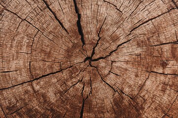 Aged wooden surface featuring fissures