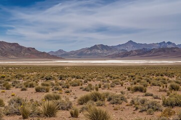 Breathtaking wide-angle scene of the iconic arid Siloli Desert. Gorgeous terrain showcasing the dramatic Andes mountains and high plateau alongside the picturesque route linking two notable salt
