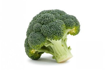 Romanesco broccoli and Roman cauliflower displayed against a white backdrop