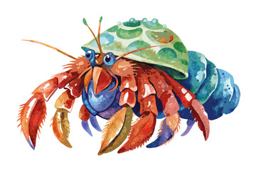 crab on white background