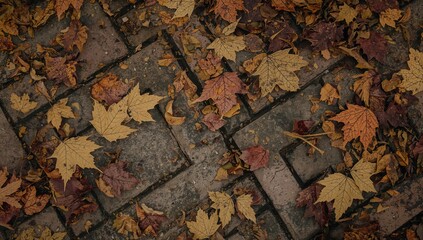 Aged leaves scattered on stone pavement