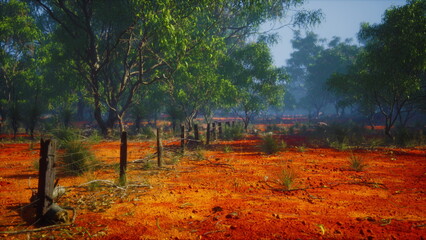 In the heart of Australia, a vivid landscape unfolds with rich red earth contrasting against lush green trees under a clear blue sky, evoking a sense of tranquility and wilderness.