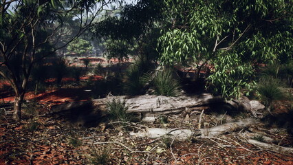 Obraz premium Sunlight filters through a vibrant forest, highlighting fallen logs and diverse foliage. Nature thrives in this peaceful oasis, inviting exploration and tranquility amidst greenery.