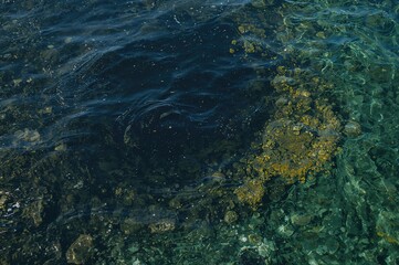 Obraz premium Online seminar banner about oil leakage from vessels and its impact