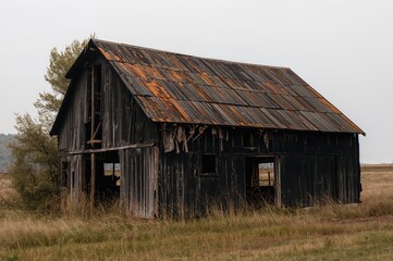 Fototapeta premium Aged dilapidated wooden barn with a dripping roof in a rustic setting