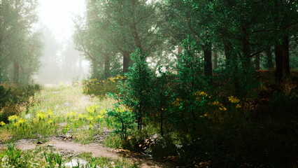 Fototapeta premium Morning light streams through vibrant trees in a peaceful forest. Wildflowers bloom amidst the greenery, creating a serene and enchanting atmosphere in this natural haven.