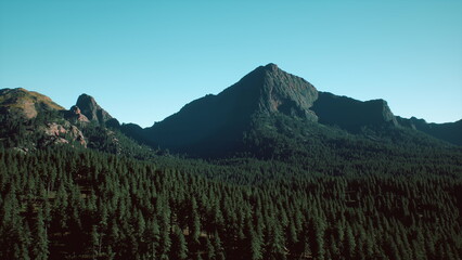 Fototapeta premium Majestic mountains tower over a vast expanse of dense coniferous trees, with a bright blue sky providing a perfect backdrop. Nature thrives in this beautiful landscape under warm sunlight.