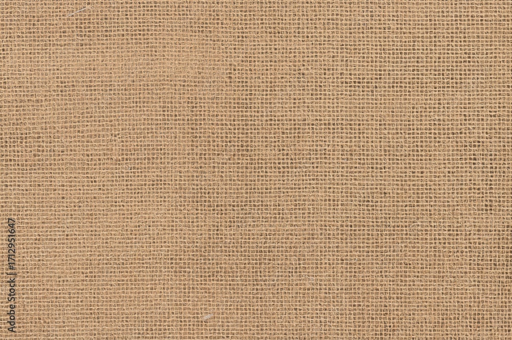 Poster continuous rough texture pattern in earthy tones