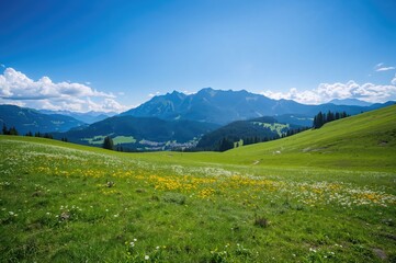 Fototapeta premium Beautiful sunlit mountain meadows with majestic alpine peaks in the background