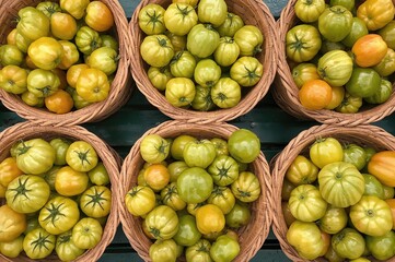 Six Baskets of Tasty Organic Mature Green Zebra Tomatoes from the Country Garden