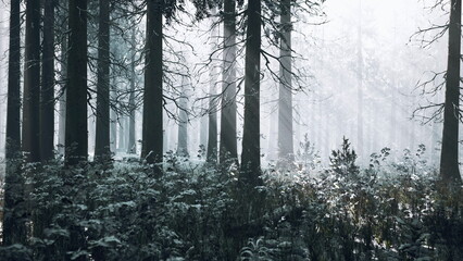 A serene winter scene unfolds as snow blankets tall trees in a quiet forest. A gentle mist swirls around, creating a magical and peaceful ambiance in the stillness of nature.