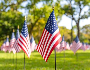 Small American flags in a park
