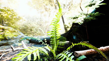 A vibrant green fern reaches for sunlight in a tranquil forest. Surrounded by soft moss and fallen branches, this scene captures the beauty of nature awakening at dawn.