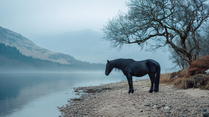 Black horse stands by a misty lake under a bare tree in a serene landscape