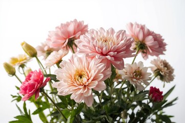 Charming blossoms of the warm season