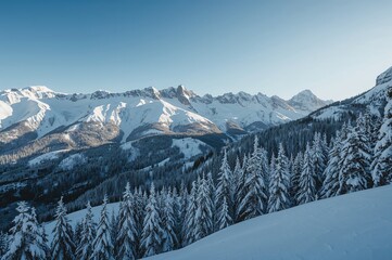 Fototapeta premium Snow-covered mountainous landscape with forest under a clear sky in winter