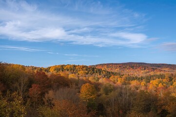 Fototapeta premium Viewing a diverse palette of fall hues with trees displaying shades of green, amber, and red beneath a clear blue sky dotted with clouds.