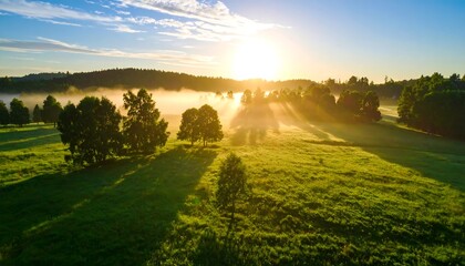Obraz premium Sunrise over a misty meadow