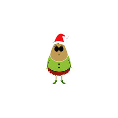 funny kiwi wearing christmas dress and hat 