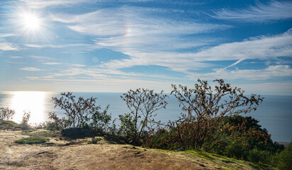 View of coastal cliff with dry bushes and blue sky on sea background on summer sunny day.
