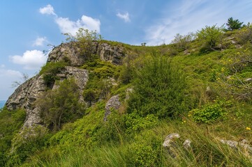 Tall rocky cliff covered with grass and leafy shrubs
