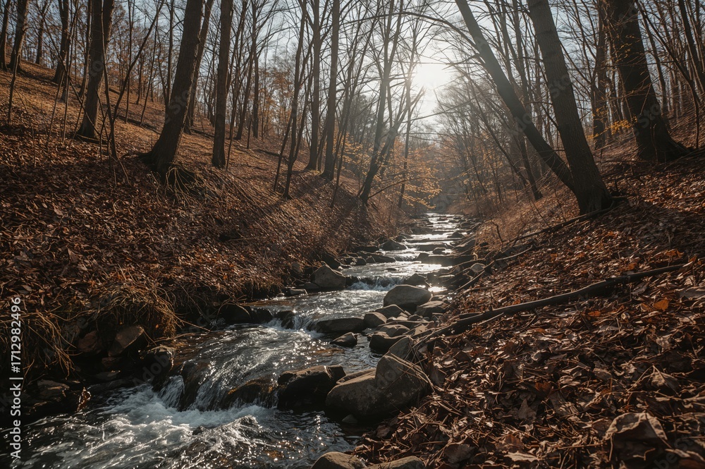 Poster sunlight filtering through trees over a flowing stream in fall