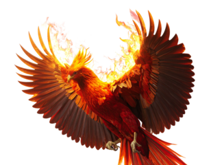 Fiery Phoenix Bird with Outstretched Wings PNG
