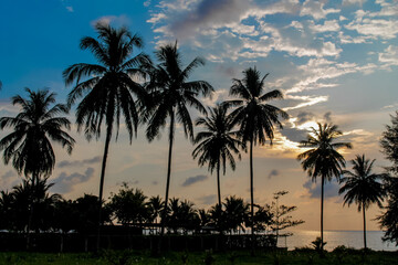 Fototapeta premium Cliffs, palm trees and sandy beach in Krabi, Thailand, with turquoise sea, limestone formations, and tropical vegetation under clear sky, showing coastal landscape travel destination in Andaman sea