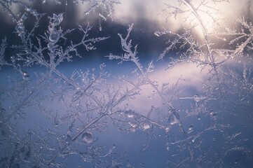 Winter morning frost and sunlight patches on glass