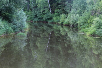 The banks of the small Northern River Fedorovka, overgrown with green grass, in midsummer